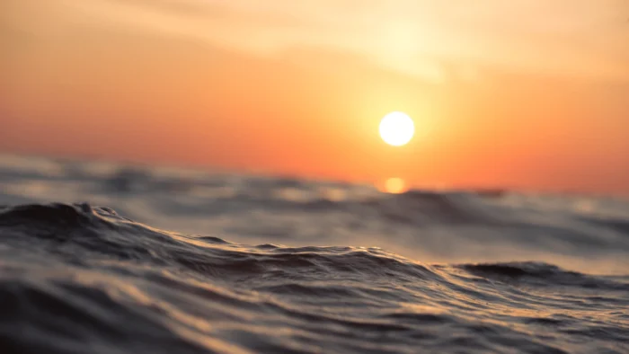 Sunrise Boat Trip: Start Your Day in Paradise
